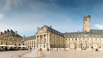 dmd-dijon