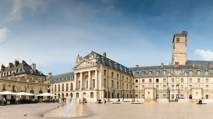 dmd-dijon