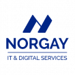 Logo Norgay - Connecteur DIMO Maint MX