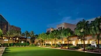 gaylord-palm-resort