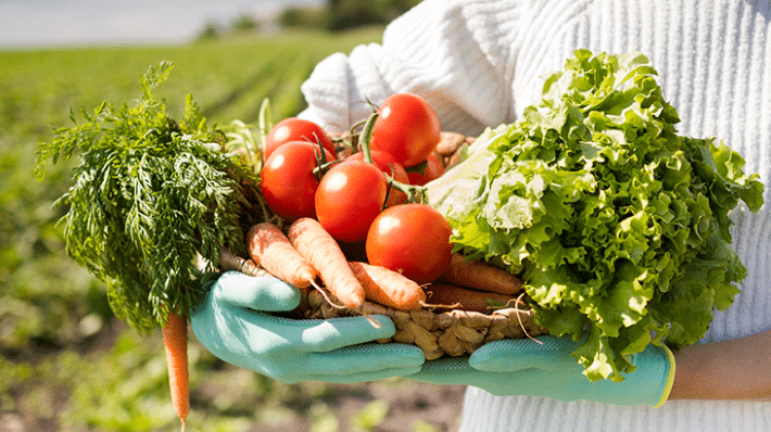 Les enjeux de la maintenance dans le secteur agroalimentaire