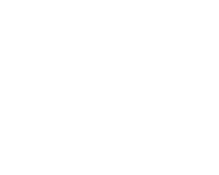 Logo Dimo Maint Blanc