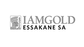 logo - Lamgold